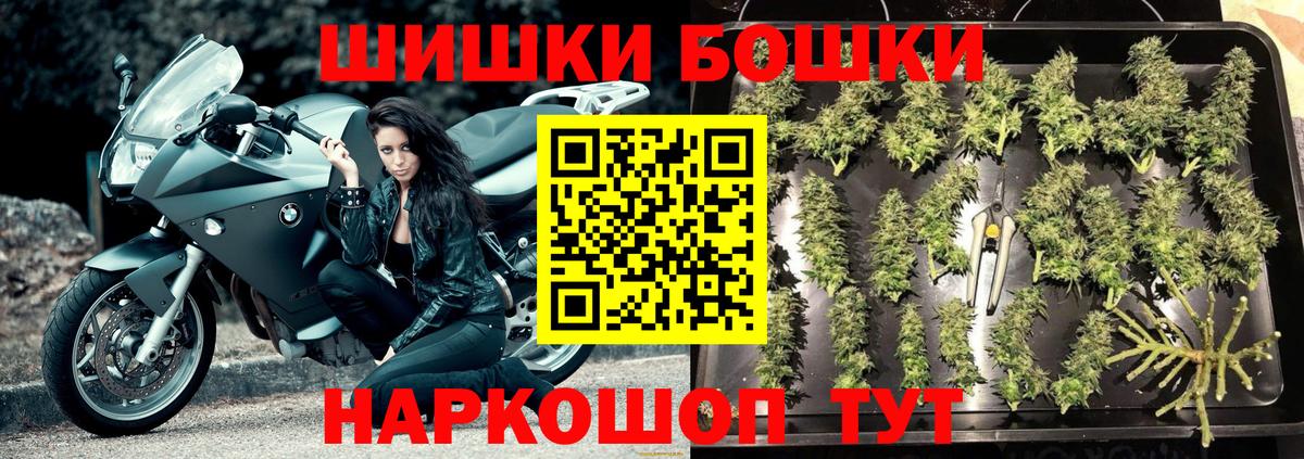 Бошки Шишки конопля Валуйки